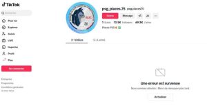 Faux billets PSG sur TikTok : deux frères escroquent 2000 fans
